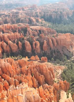 Explore Roadside Nature - Bryce Canyon Hoodoos